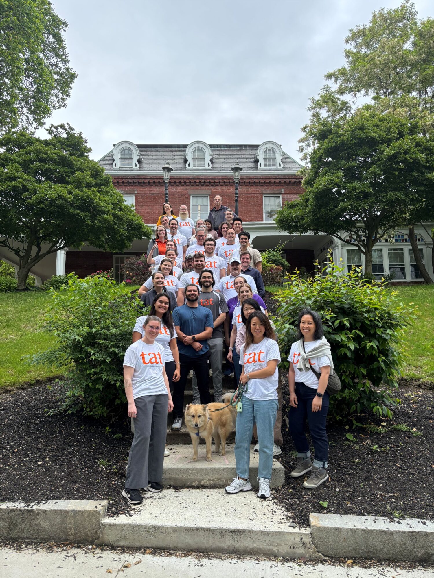 TAT group on steps resize