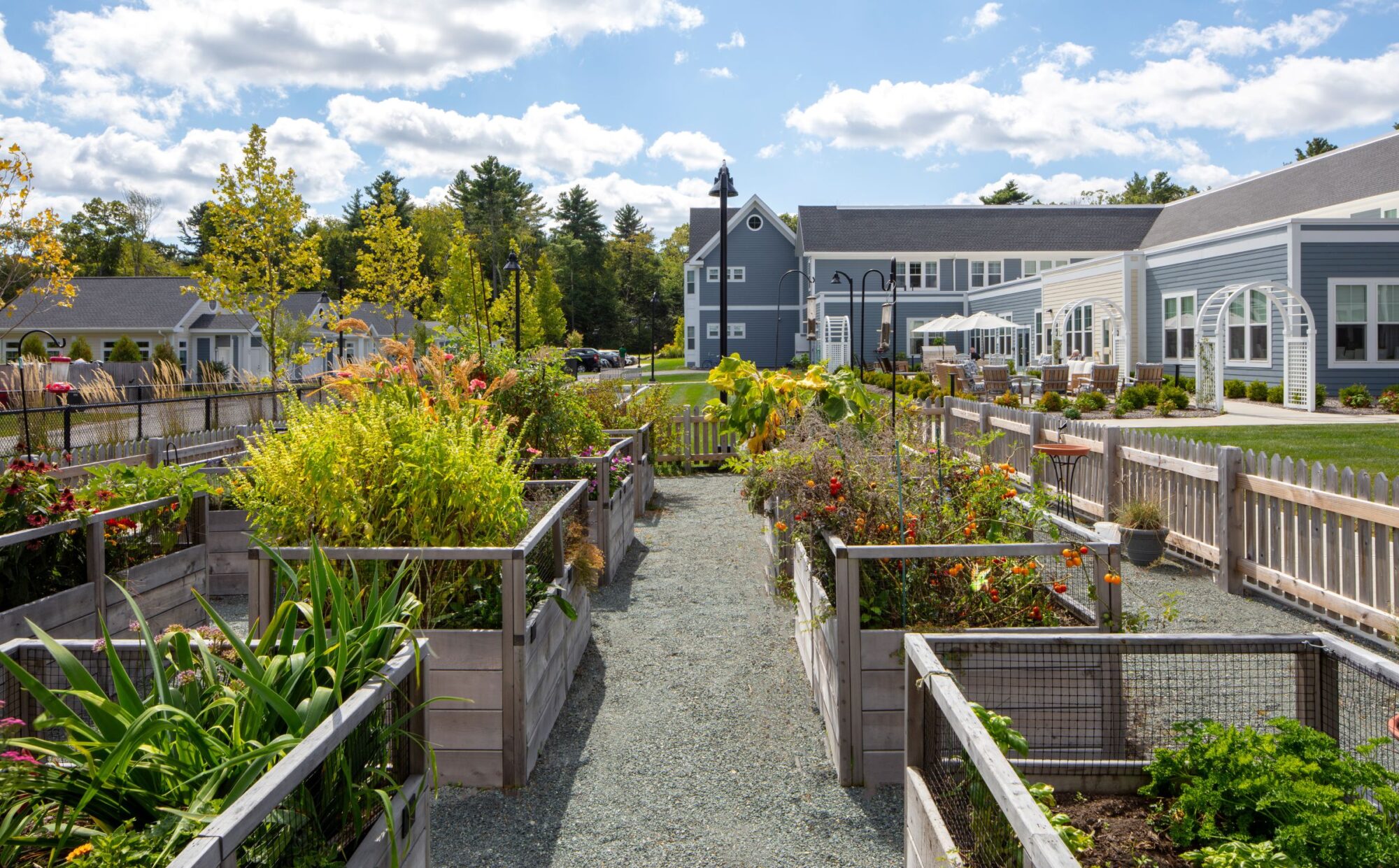 TAT_Anthology of Millis_Christian Scully_16