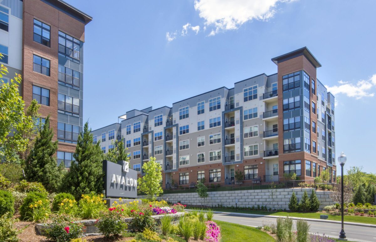 Avalon Quincy_Joel Howe_02